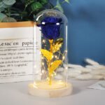 Valentines Day Gift  For Girlfriend Eternal Rose Flowers LED Light In Glass Cover Day Wedding Decoration Favors Mother Day Female Gift  Gift - Image 4