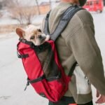Pet Dog Carrier Bag Carrier For Dogs Backpack Out Double Shoulder Portable Travel Backpack Outdoor Dog Carrier Bag Travel - Image 9