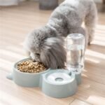 Dog bowl for feeding