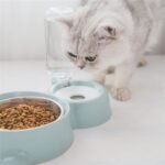 Dog bowl for feeding - Image 4