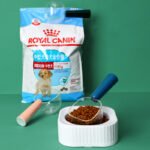Universal Spoon Transparent Scale Dog Food Bag Clip Cat Pet Supplies - Image 5