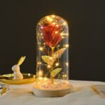 Valentines Day Gift  For Girlfriend Eternal Rose Flowers LED Light In Glass Cover Day Wedding Decoration Favors Mother Day Female Gift  Gift - Image 3
